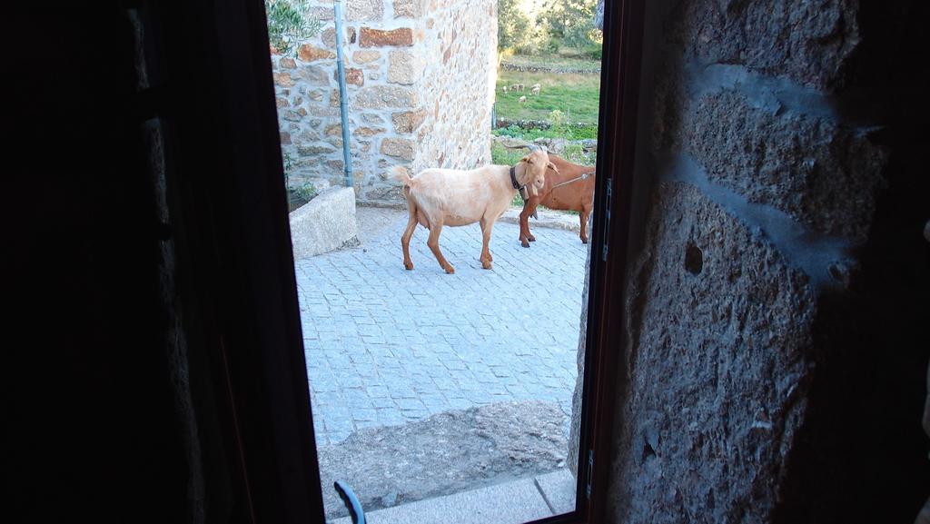 Gasthaus Aldeia Do Codecal Codecal  Zimmer foto